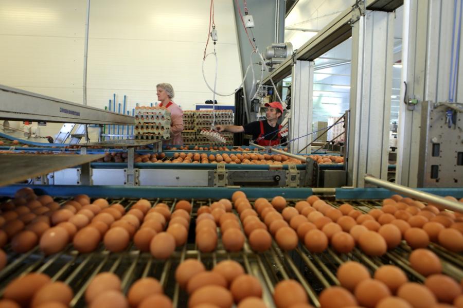 Ieķīlāts līdz pēdējai olai: Balticovo reģistrē komercķīlu par 7,2 miljoniem eiro