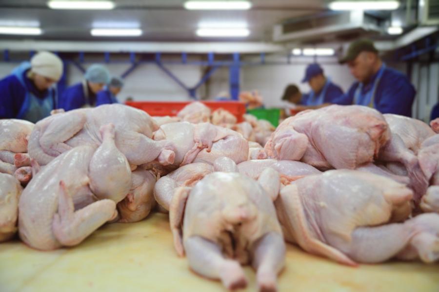 PVD: "Sliktās" vistas tirgojošie poļi pārtrauc piegādes Latvijai