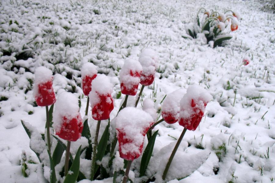 Bauskā un Daugavpilī pārspēts pavasara vēlākā sniega rekords
