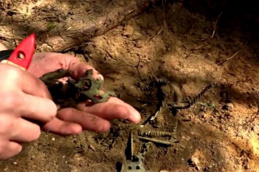 Unikāls atradums Tērvetes dabas parkā: Ugunskapu kapulauks (+VIDEO)