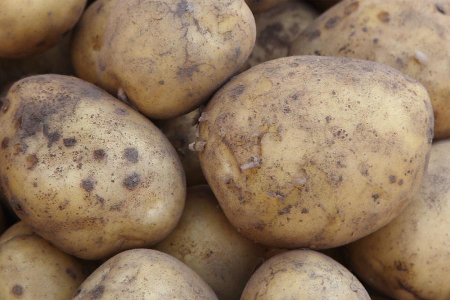Pircēji satraukti: Rimi lielveikalos tiek tirgoti indīgi kartupeļi! (+FOTO)