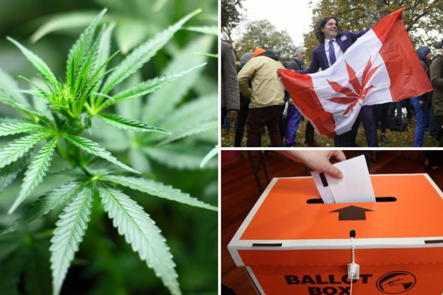 Jaunzēlandē referendumā lems par eitanāzijas un marihuānas legalizēšanu