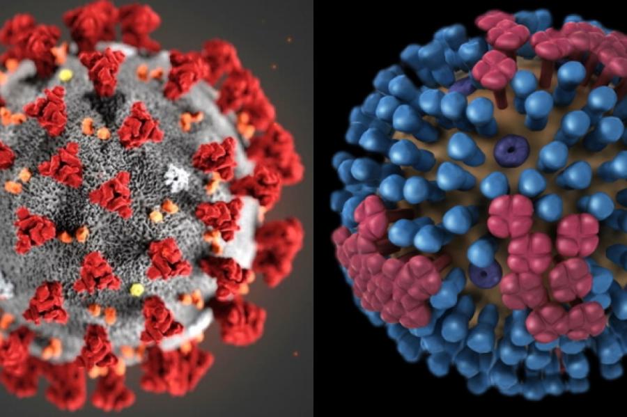 Gripa un Covid-19: Kas abiem vīrusiem ir kopīgs un kas - atšķirīgs?