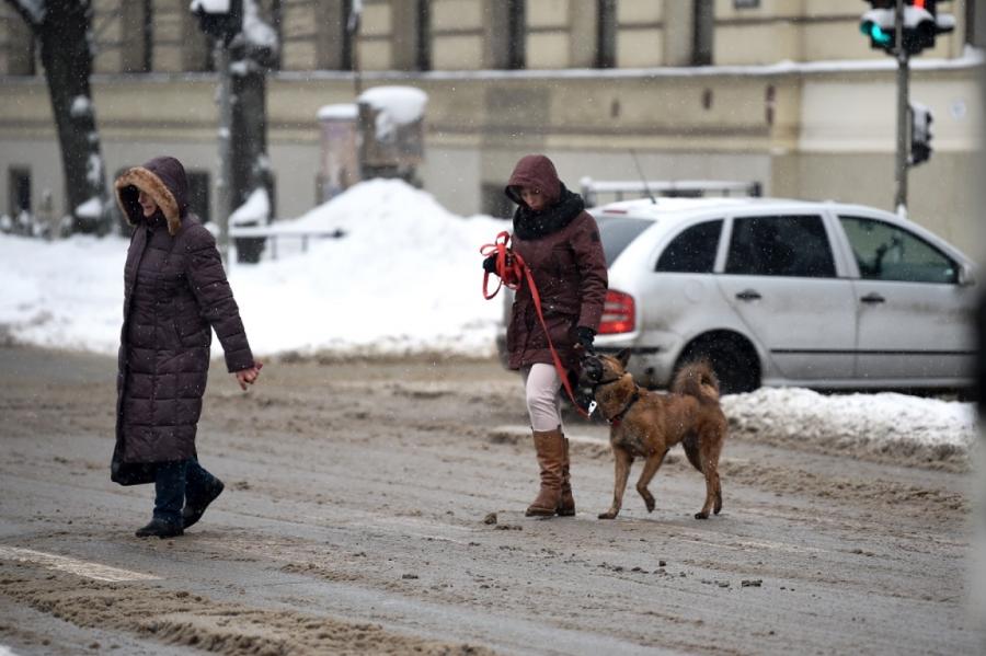 Rīgas domē spriedīs par sāls kaisīšanu ielās