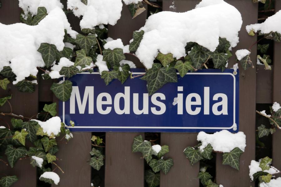Rīgas dome maina vairāku ielu nosaukumus un piešķir jaunus