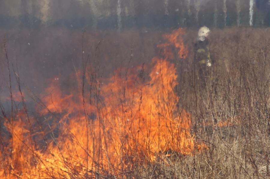 Nedēļas nogalē Latvijā dzēsti 120 kūlas ugunsgrēki