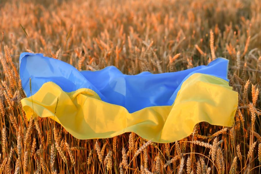 Ukrainas armija: karā pret Krieviju krituši 9000 ukraiņu karavīri