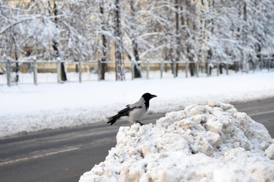 Gandrīz visā Latvijā apgrūtināti braukšanas apstākļi