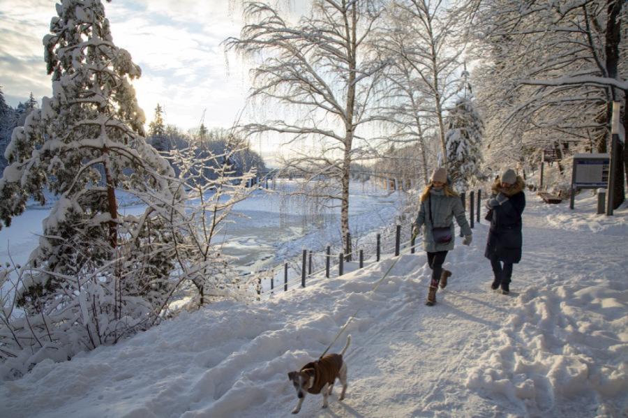 Sestdien Latvijā saglabāsies sals, bet sniegs gaidāms tikai jūras piekrastē