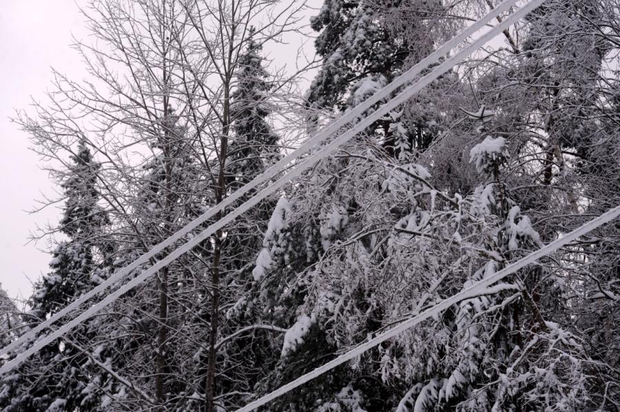 Dienas pirmajā pusē biezāka apledojuma kārta veidosies Kurzemē un Zemgalē