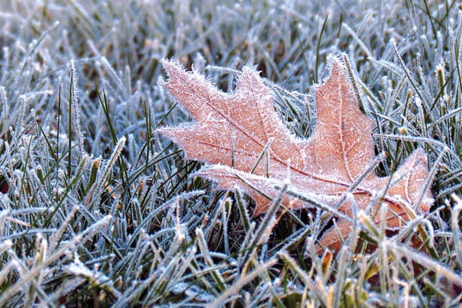 Nākamnedēļ gaisa temperatūra Latvijā brīžiem noslīdēs zem nulles