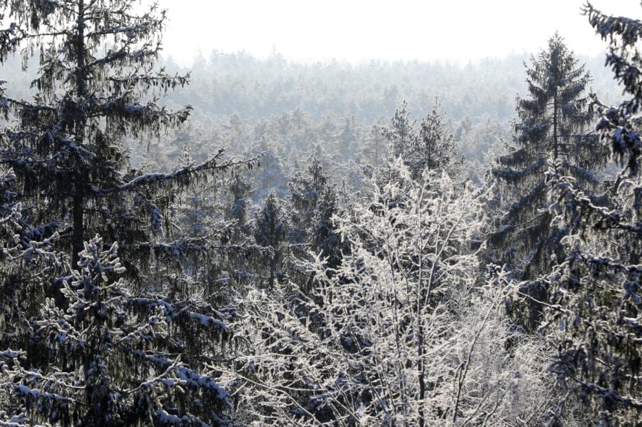 Tuvojas sals! Naktī Vidzemē un Latgalē temperatūra noslīdēs zem -20 grādiem