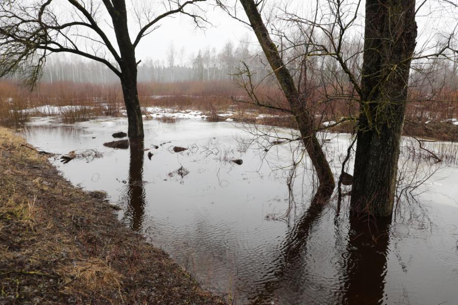 Latvijas austrumu daļā upēs ūdenslīmenis turpinās paaugstināties arī nākamnedēļ