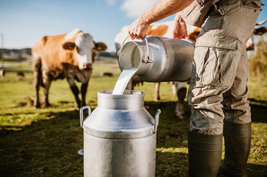 Piena iepirkuma cenas piena pircējiem turpmāk būs jāpaziņo agrāk