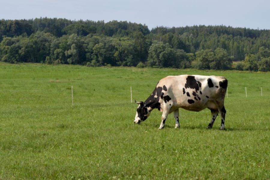 Lauksaimniekiem atbalstam agrovides pasākumiem paredzēti 293 miljoni eiro