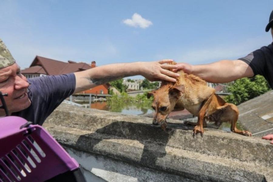 Atklāts, cik liela platība applūdusi Hersonas apgabalā