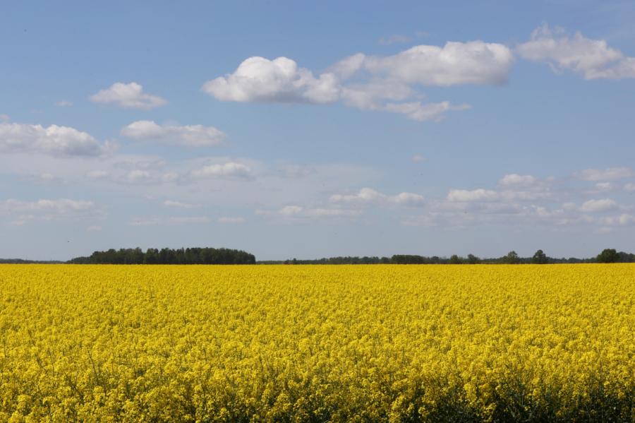 Gaisa temperatūra otrdien sasniegs +25 grādus