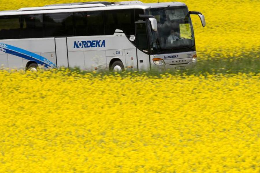 Svarīgi! Jāņu brīvdienās būs izmaiņas gandrīz 500 autobusu maršrutos