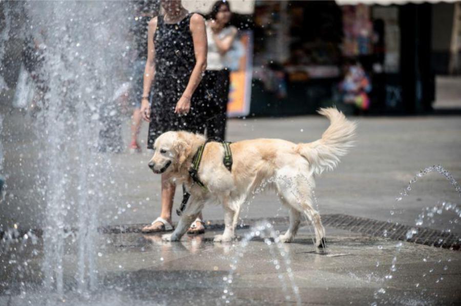 Svelme rītdien turpināsies - varētu būt jauns gada temperatūras rekords