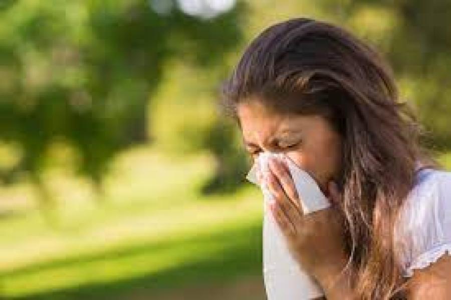 Tuvojas bīstamā alerģijas sezona Latvijā, brīdina eksperti