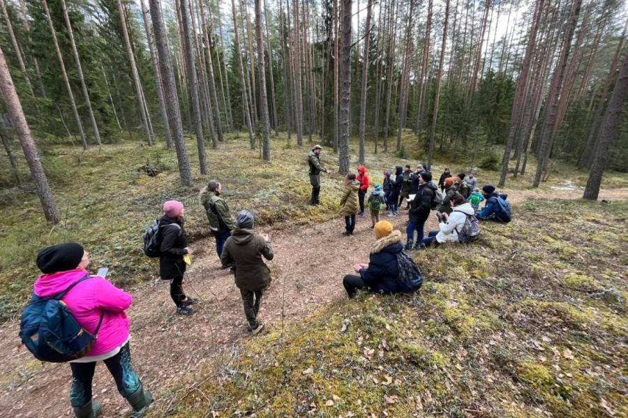 Izsludināts konkurss par mežsaimnieciskajiem darbiem 2024. un 2025. gadā