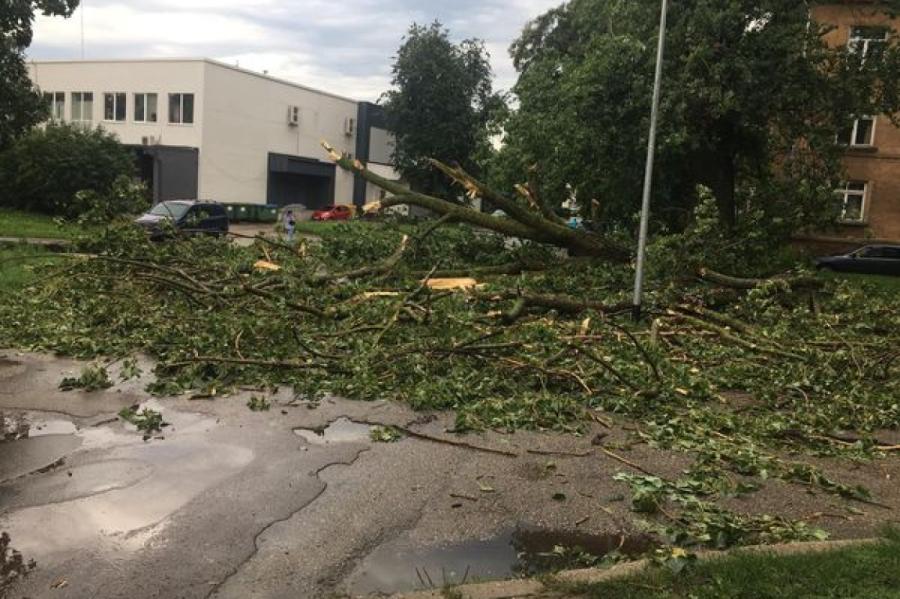 60% dabas postījumu šomēnes reģistrēti Dobeles novadā (+VIDEO)