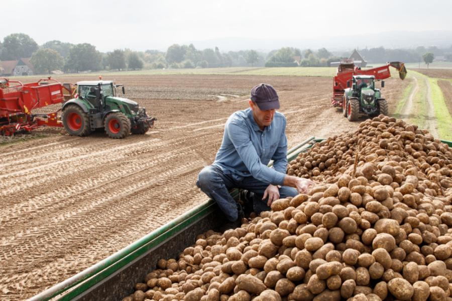 Eksperti: Latvijā būs tāda realitāte, ka vairs neaugs kartupeļi (+VIDEO)