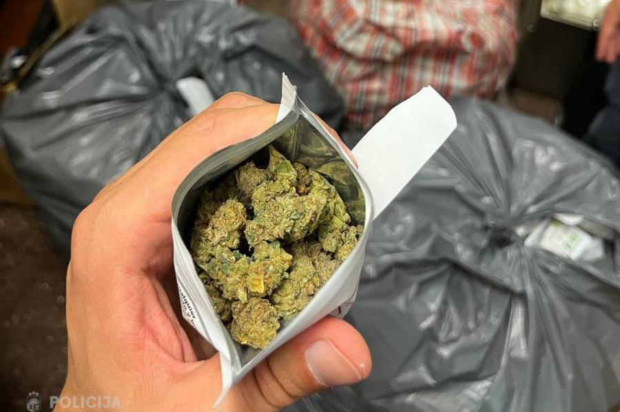Policija sadarbībā ar Spāniju novērsusi 49 kilogramu marihuānas ievešanu Latvijā