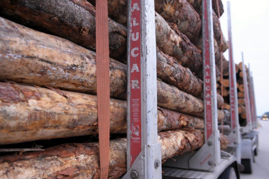 Meža nozares eksportā samazinās gan apjoms, gan produktu vērtība