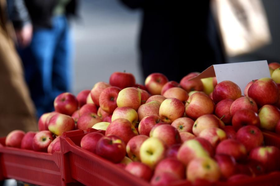 Kā šogad ar āboliem? Izrādās, ražu būtiski ietekmējusi krusa