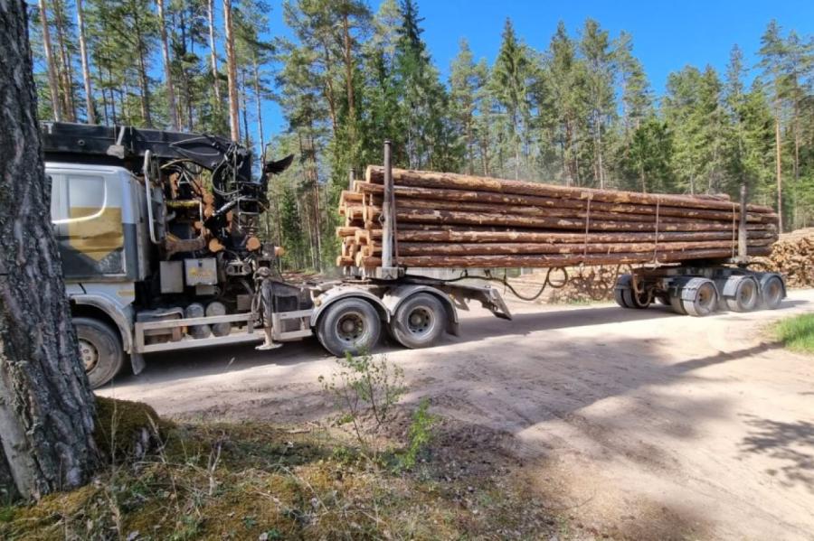 «Latvijas valsts meži» rīko konkursu un palielina kapitālu (VIDEO)