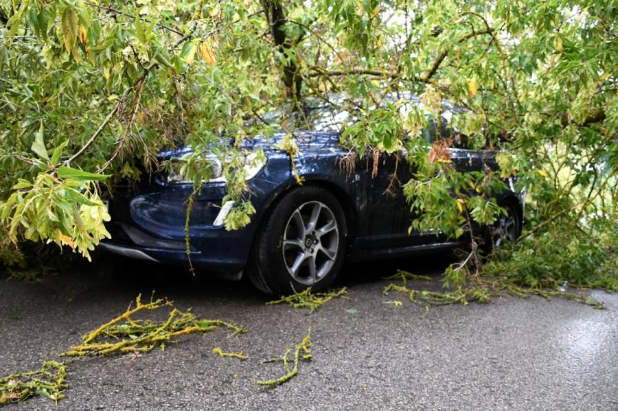 Glābēji vakar 32 reizes likvidējuši vēja postījumu sekas; koks uzgāzies arī auto