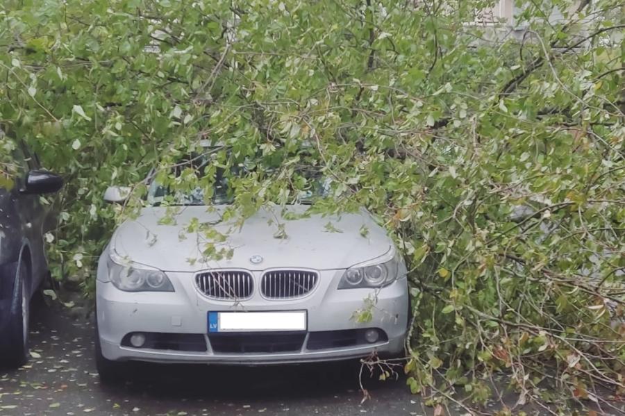 Brīdinājums neapmeklēt Rīgas parkus un Mežaparku