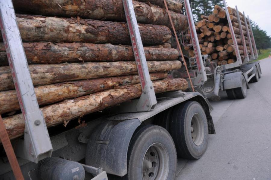 Meža nozares produkcijas eksports astoņos mēnešos sarucis par 21,7%