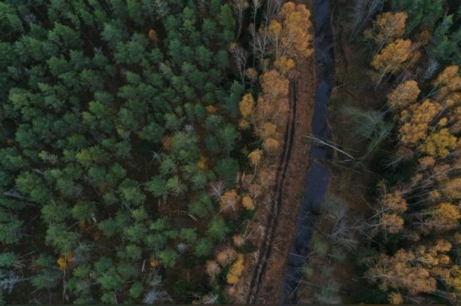 Izbūvēti aizsprosti Kreiču purva hidroloģiskā režīma atveseļošanai (+VIDEO)