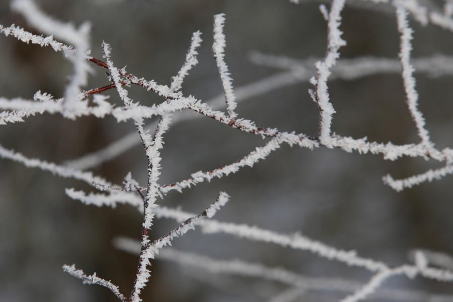 Latvijā sākusies meteoroloģiskā ziema; gaidāms sauss laiks
