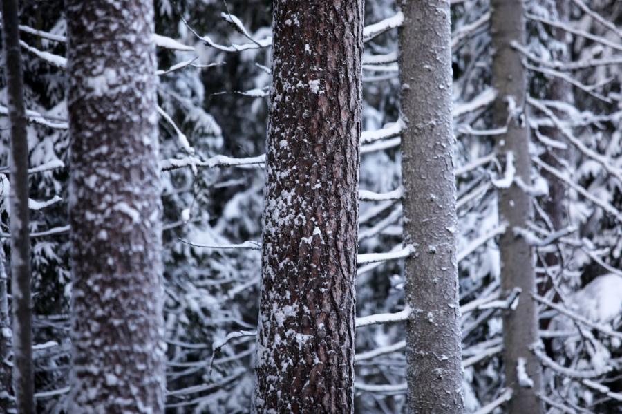 Darba nedēļas noslēgumā laikapstākļus nosaka liels ciklons