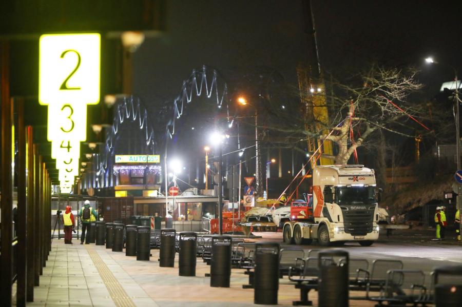 Eksperts noraida iedzīvotāju bažas par koku stādīšanu sniegotajā Rīgā