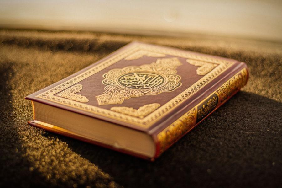 Dānijas parlaments aizliedz Korāna dedzināšanu
