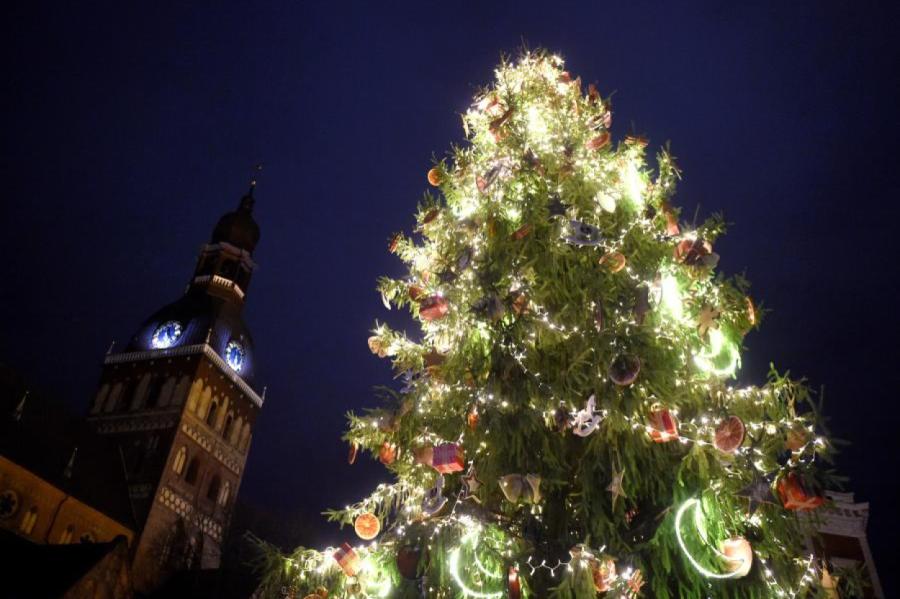Latvijā 60% iedzīvotāju šajos Ziemassvētkos rotās īstu eglīti