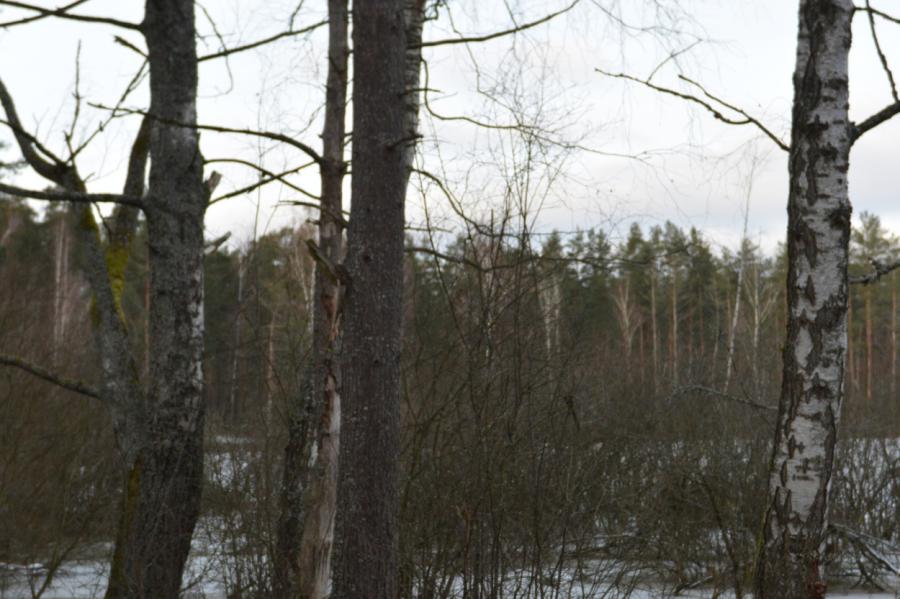 Latvijā ir ap 500 pārgājienu vietu ziemā (+VIDEO)
