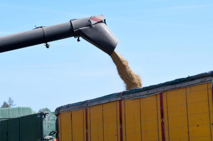 Rinkēvičs atbalsta vienpusēju Latvijas lēmumu aizliegt Krievijas graudu importu