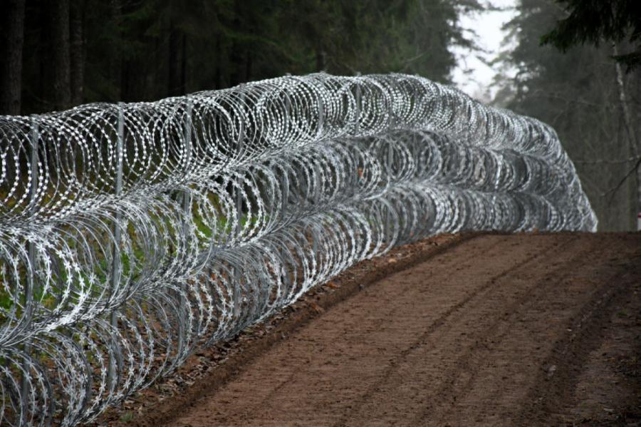 Robežsardze pērn par zaļās robežas šķērsošanu aizturējusi 509 personas