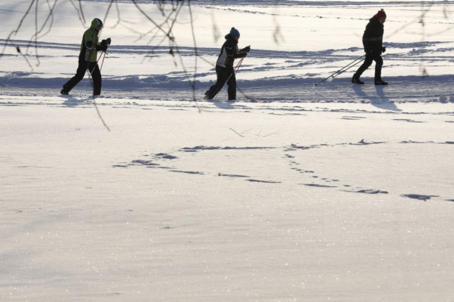 Februāra vidus Latvijā bijis 3,4 grādus siltāks par normu