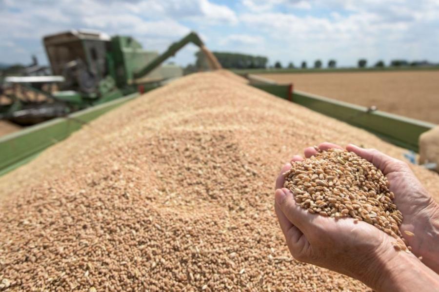 Ar likumu aizliegts Krievijas un Baltkrievijas graudu imports Latvijā