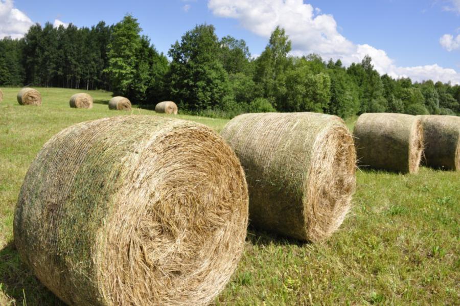 Latvijā ražos inovatīvus produktus no zālāju biomasas