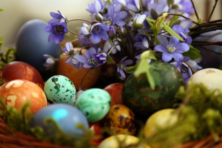 Pircējus aicina Lieldienās izvēlēties bioloģiski sertificētas olas