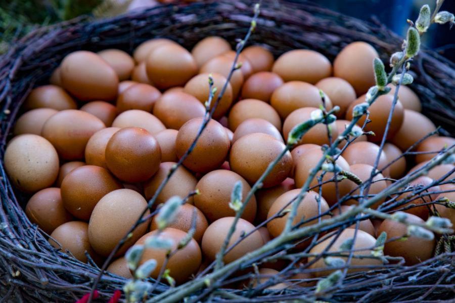 Kurzemē Lieldienās krāsos olas, šūposies un izzinās tradīcijas