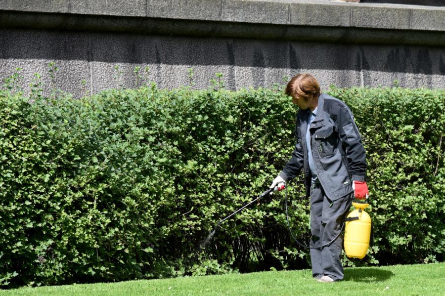 Saeima turpinās darbu pie aizlieguma lietot pesticīdus dzīvojamo māju tuvumā