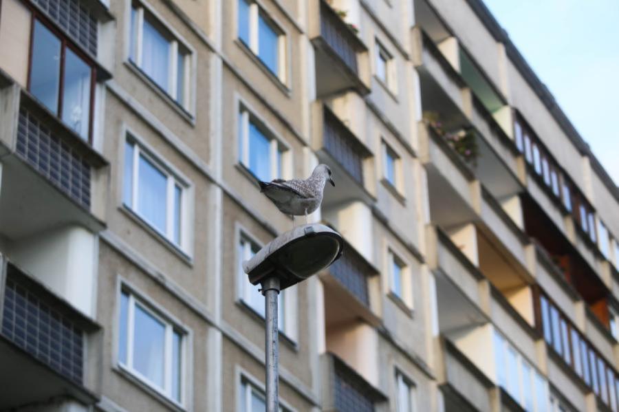 Aprīlī pārdošanai pieejamo dzīvokļu skaits Rīgā audzis par 2%